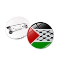 Detailed view of Palestine flag crystal glass badge showing front and silver pin back - Silver-8 (Grid Texture)
