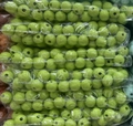 Green 16mm round lacquered wooden beads for DIY jewelry and necklaces in bulk packs - Fruit Green