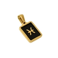 Square Pisces constellation pendant necklace in gold finish with a black enamel background - Pisces - Single Pendant