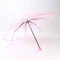 Transparenter Klappschirm mit rosa Kirschblütenmuster und einem rosa Handgriff - Standard Rosa