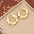 Minimalist gold twisted hoop earrings with irregular geometric metal texture and shiny finish - Twisted Knot Hoop Style (2#)