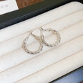 Detailed close-up of silver twist hoop earrings resting in a beige velvet jewelry box - 12# Twist Texture Design Silver Hoop (Silver Earring Post)