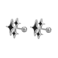 Chic silver and black four-point star stud earrings with screw-back closures for women - Copper / Black Star Screw Stud (Silver Color)