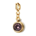 Gold stainless steel 6mm charm with purple birthstone and spring clasp for jewelry DIY - [Spring Ring Clasp] June Light Purple