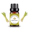 10ml Lemongrass essential oil in amber glass bottle with fresh herbal decoration - 10ml / Lemongrass
