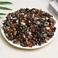Polished mixed colorful natural crystal chips in a white dish for home decoration - 100g Of Petrified Wood (7-9mm)