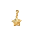 Ciondolo a stella dorato in acciaio inossidabile con chiusura a moschettone, 3,7 cm - Stella (11) / Oro