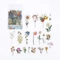 Floral PET sticker pack featuring 40 realistic dried plant designs for DIY journals - Afternoon Garden
