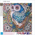 5D DIY diamond painting kit featuring a colorful owl pattern in 40x40 cm size - LY5008 Colorful Owl