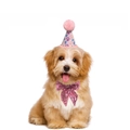 Pink and purple pet birthday party set with sequin bow tie and paw print hat - Pink Hat + Large Bow Tie