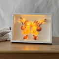 Illuminated shadow box frame with handmade natural seashell butterfly and LED lighting - 6 Inch / White / 3cm