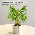 Kunstmatige Goudpalm in witte vierkante keramische pot met bubbels, 29 cm hoog - Vierkante Bellen Pot / Wit-Arecapalm