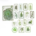 30-piece botanical PET stickers pack featuring green fern and eucalyptus designs - Spring Scenery