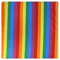 Rainbow striped square polyester bandana featuring six vibrant vertical colors for outdoor sport - Vertical Rainbow Stripes (02)