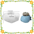 DIY silicone mold for goldfish planter with measurements and blue finished succulent pot - Goldfish Candle Holder/Flower Pot Mold