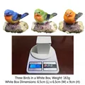 Three-piece resin bird figurine set in blue, green, and orange on textured wood bases - Tricolor Birds
