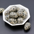 Egg-shaped Dalmatian Jasper stone with beige and black spots in a ceramic tray - Dalmatian Jasper (1pc)