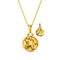 18K gold plated Capricorn zodiac pendant necklace with double-sided constellation design - Capricorn