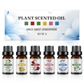 Detail von 6er-Set wasserlöslicher ätherischer Öle in 10ml Braunglasflaschen für Aromatherapie - 6er-Pack Duftöl-Set