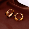 Detailed view of leopard print resin earrings with gold plating on brown fabric - Ear Buckle - Coffee Leopard Hoop