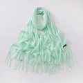 Elegant mint green scarf with tassels and cashmere label on a white background - Light Green