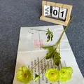Single stem artificial yellow-green poppy flower with three heads on a decorative background - Green