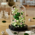 Pink and green building block roses in a transparent glass dome with black base - 7236 Gentle Breeze (Green Pink Flowers) / 235pcs/With Dust Cover