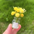 Mini vaso di vetro con fiori gialli e etichetta Good Luck per decorazione tavolo - [Luminoso] Vaso Giallo