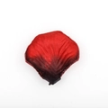 Artificial silk rose petals in gradient red and black with realistic vein textures - Dark Red and Black