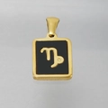 Collier Capricorne en acier inoxydable 18K avec pendentif carré en acrylique noir - Capricorne (Avec Chaîne)