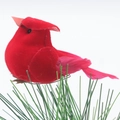 Charmant rouge-gorge en plumes rouges sur aiguilles de pin pour décoration de Noël - Style Mini Pieds / Rouge