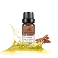 10ml pure cinnamon essential oil in brown glass bottle with spices and splash - Cinnamon (single Ingredient)