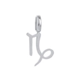 Polished silver titanium steel Capricorn zodiac sign pendant charm for DIY necklaces - Capricorn - Steel