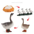 Educational geese life cycle model set showing four stages from eggs to adult goose - Growth Cycle of Goose Models Set