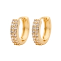 Detail of gold-plated hoop earrings with double-row micro-pave cubic zirconia inlay - Gold + White Zirconia