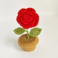 Handmade crochet red rose in brown pot, knitted desktop plant decor for car or home - Red Rose Potted Plant Finished