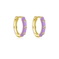 Elegant gold-plated S925 silver hoop earrings featuring purple enamel and zircon stones - Purple