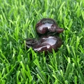 Carved dark red crystal duck figurine sitting on green grass for home decor - Garnet