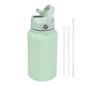 Mint green 650ml stainless steel sports bottle with handle, straws and cleaning brush - 650ml / Pale Green