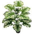Artificial variegated Monstera plant in black pot for Nordic home decor aesthetic - Large 18-Head Striped Monstera (Without Pot)