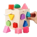 Cubo ad incastro in legno con 13 blocchi colorati per gioco educativo bimbi - Scatola d'Intelligence a 13 Fori