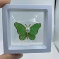 Elegant gold butterfly brooch with green resin wings and center pearl in a display box - With Display Box / Green