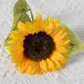 Large Sunflower Yellow