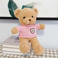 Brown teddy bear plush in pink sweater sitting on books for Valentine's gift - Brown Bear - Pink Sweater Badge / 30cm