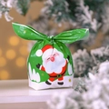 Christmas gift bag with bunny ear ties featuring Santa Claus and green festive patterns - Green Santa