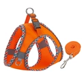 Breathable orange mesh dog harness and leash set with reflective stripes and blue trim - Orange Stripe