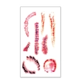 Halloween temporary tattoo sheet with realistic wound scars and surgical stitches designs - 60*105mm / Abrasions and Bite Mark Bruises Style(BW-24)