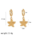Makroansicht der 18k vergoldeten Seestern-Ohrringe mit Maßen und Gewichtsangaben - Gold Seestern-Stil (TE60453)