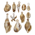 Set di 10 ciondoli in acrilico beige e marrone a forma di conchiglia e stella marina per bijoux - Conchiglia in Acrilico 11 Stili 2 Pezzi Ciascuno-SN544