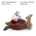 Figurines de lapins miniatures en résine avec bol rouge, set de lapins blanc gris brun - Ensemble Lapin Mangeant de l'Herbe (PL127-1830)
